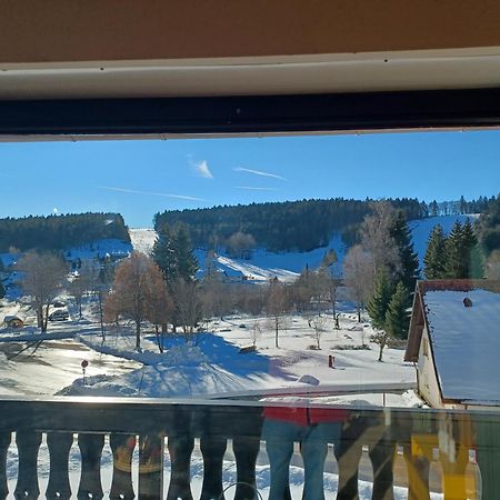 Schoene Ferienwohnung Im Suedschwarzwald Herrischried Екстер'єр фото